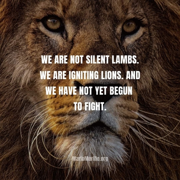 Take Two multi-colors+patterns button shirt XL - Picture 9 of 9